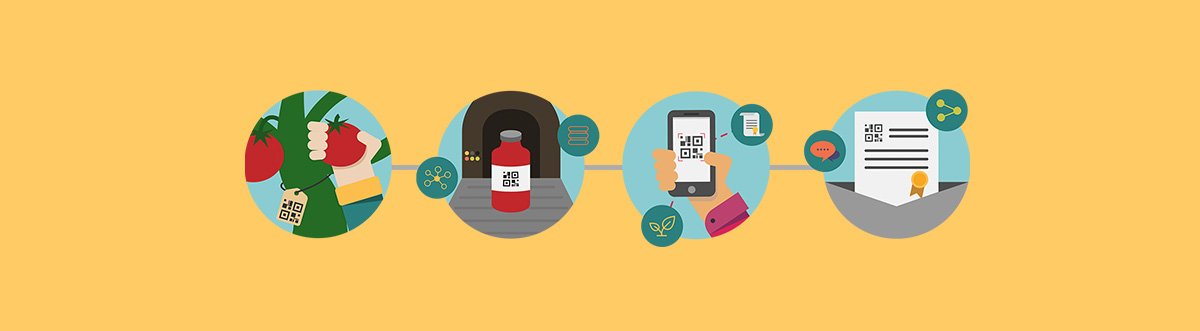 Infographic Foodchain